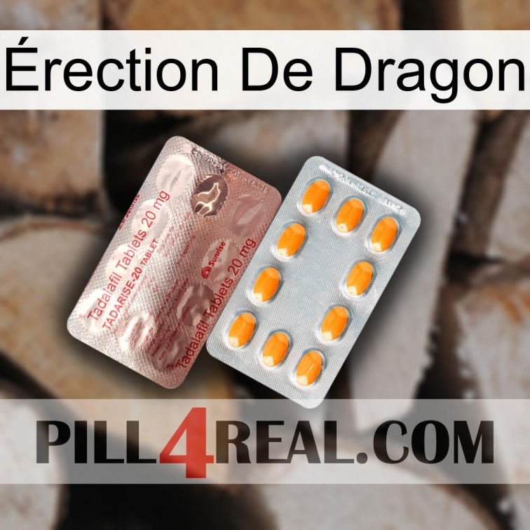Érection De Dragon new13